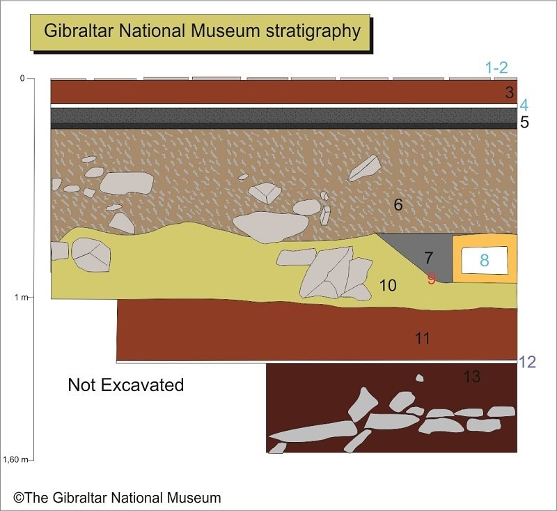 stratigraphy